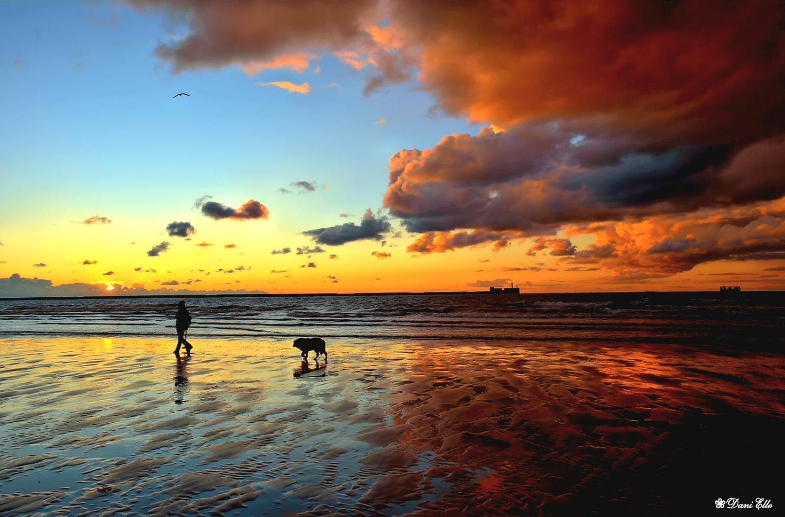 Studio Cap Sur Mer Boulogne-sur-Mer Exteriér fotografie